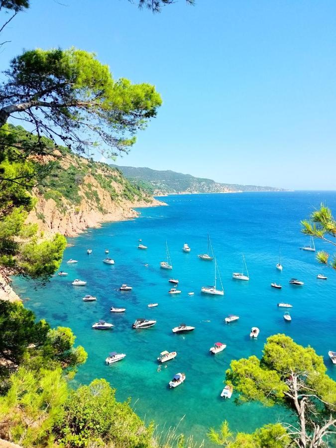 Apartament La Vista Bonica Blanes Eksteriør billede