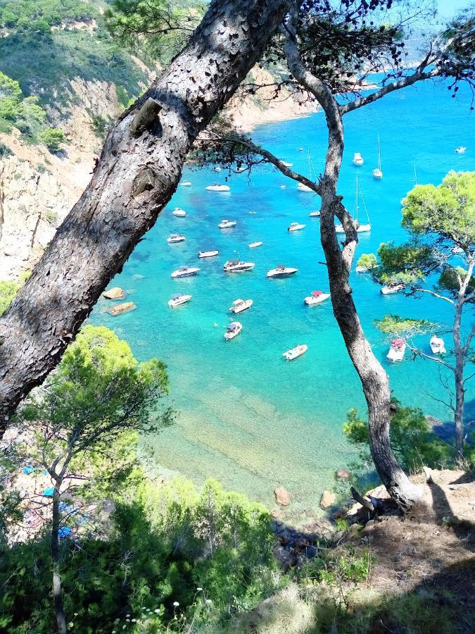 Apartament La Vista Bonica Blanes Eksteriør billede