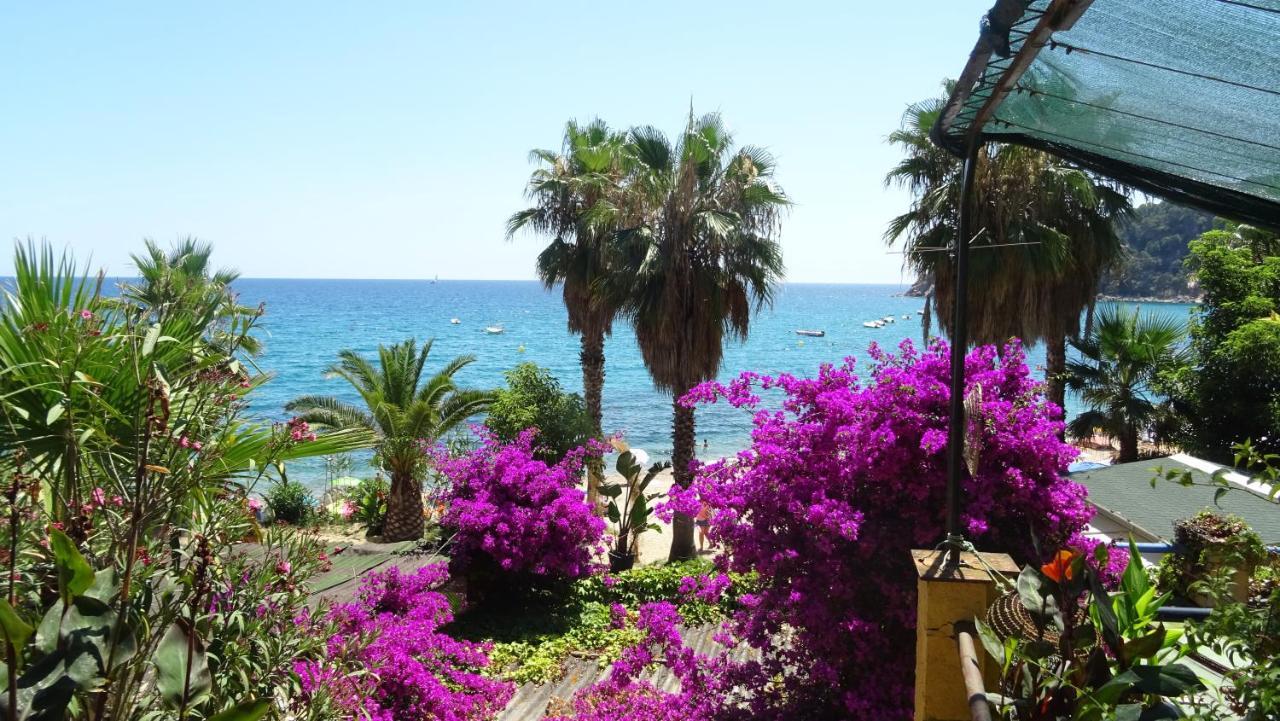 Apartament La Vista Bonica Blanes Eksteriør billede