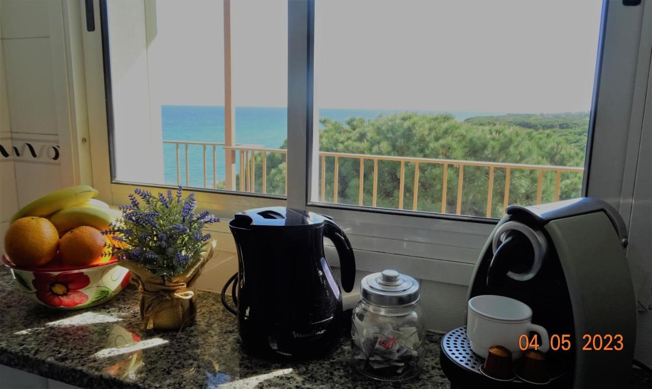 Apartament La Vista Bonica Blanes Eksteriør billede